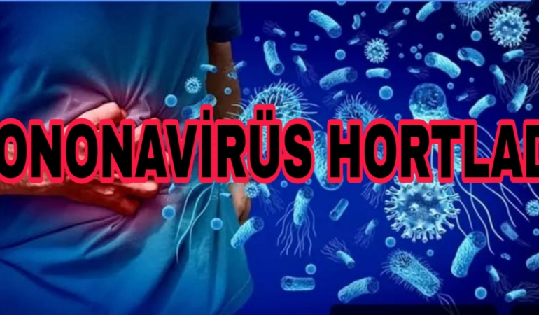 Ünlü Profösör Açıkladı