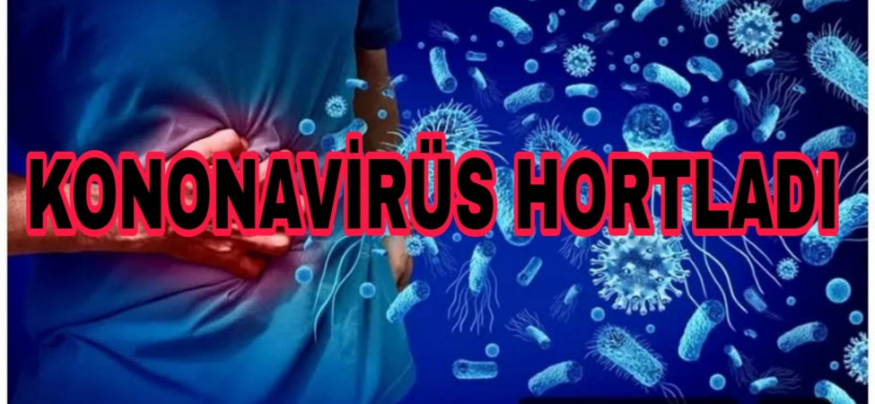 Picsart_25-09-22_19-33-50-748