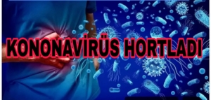 Picsart_25-09-22_19-33-50-748