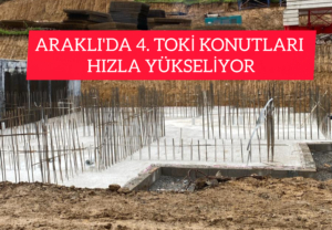 InShot_20251116_103924754