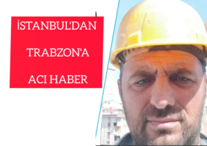 InShot_20251116_122252163