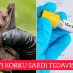 InShot_20251116_131245941