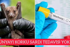 InShot_20251116_131245941