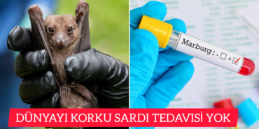 InShot_20251116_131245941