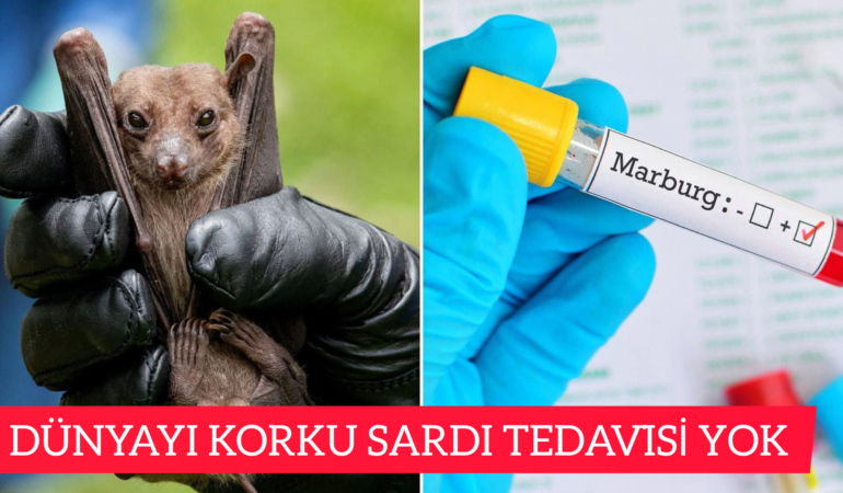 Dünyayı Korku Sardı