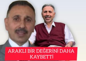 InShot_20251116_161713513