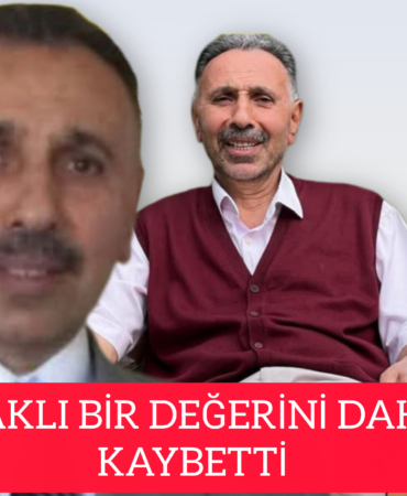 InShot_20251116_161713513