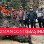 InShot_20251116_211647947