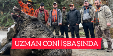 InShot_20251116_211647947