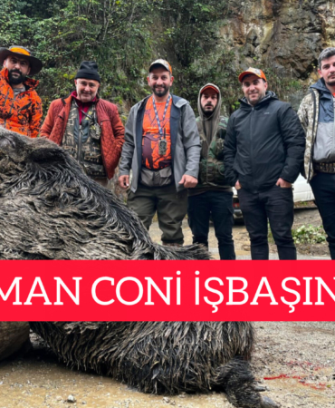 InShot_20251116_211647947