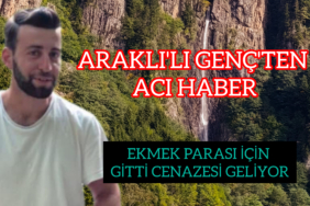 InShot_20251119_140824534