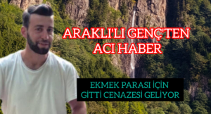 InShot_20251119_140824534