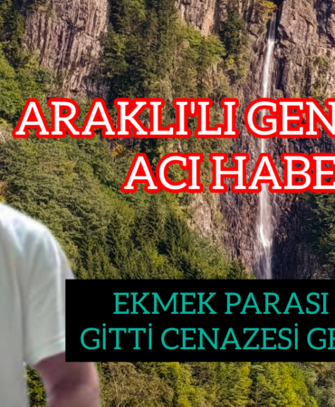 InShot_20251119_140824534