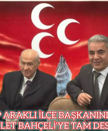 InShot_20251119_200422414