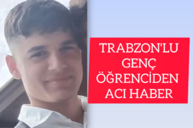 InShot_20251123_234554811