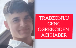 InShot_20251123_234554811