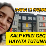 InShot_20251124_183623832