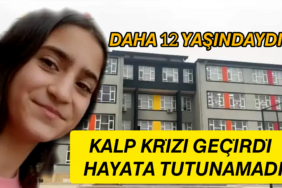 InShot_20251124_183623832