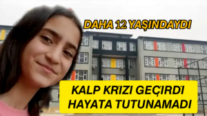 InShot_20251124_183623832