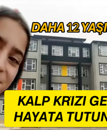 InShot_20251124_183623832