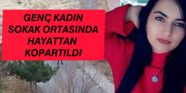 InShot_20251126_223045040