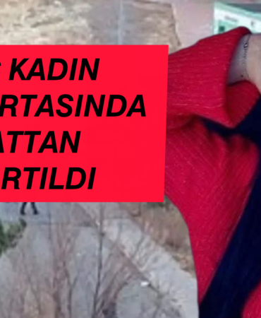 InShot_20251126_223045040