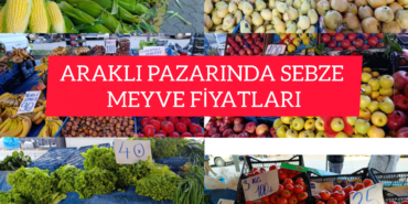 InShot_20251127_182559593