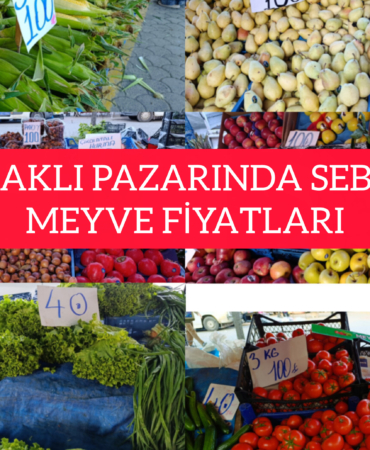 InShot_20251127_182559593