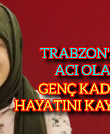 3851497e-9b35-4ac2-8070-bb5fb0a7d798