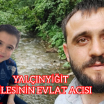 InShot_20251202_164531704