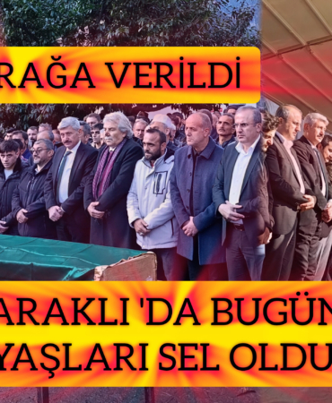 InShot_20251203_165351765