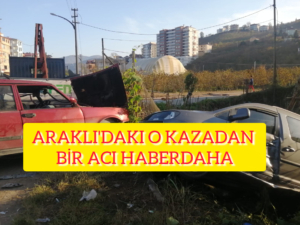 InShot_20251203_174210402