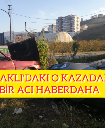 InShot_20251203_174210402