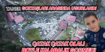 InShot_20251203_191540031