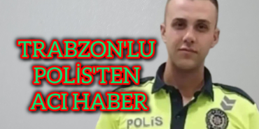 InShot_20251207_210345984