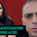 InShot_20251210_102829497