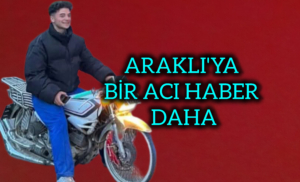 InShot_20251210_124944137