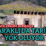 InShot_20251210_161503153