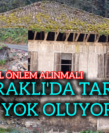 InShot_20251210_161503153