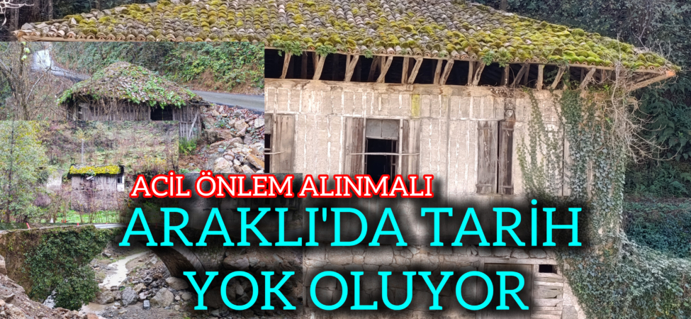 InShot_20251210_161503153