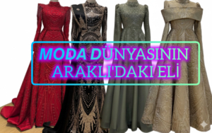 InShot_20251211_225102020