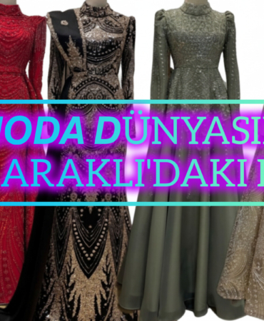 InShot_20251211_225102020