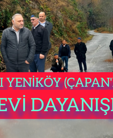 InShot_20251214_151337658