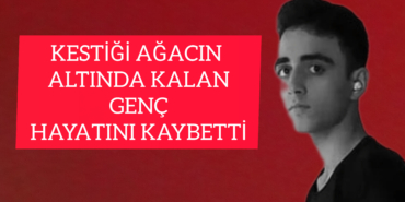 InShot_20251221_151512781