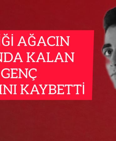 InShot_20251221_151512781