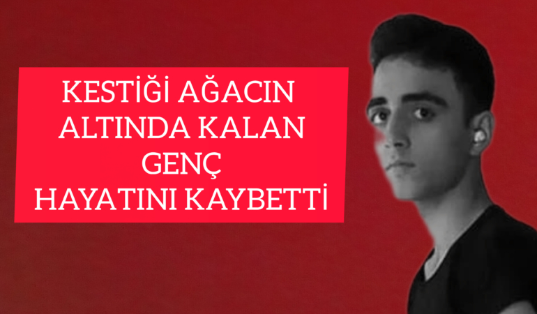 Kestiği Ağaç Sonu Oldu