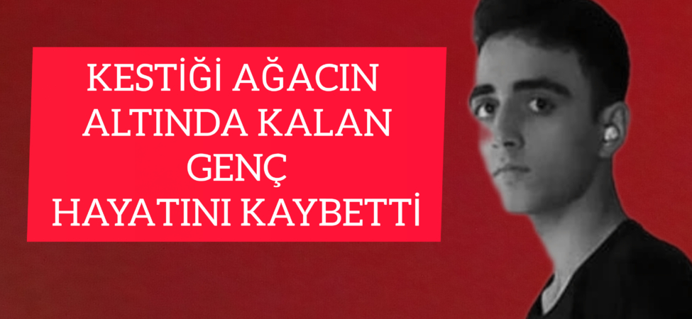 InShot_20251221_151512781