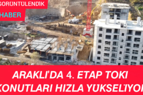 InShot_20251222_185134731