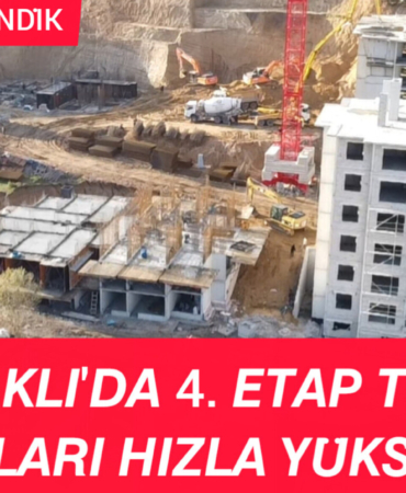 InShot_20251222_185134731