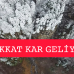 InShot_20251224_230833728